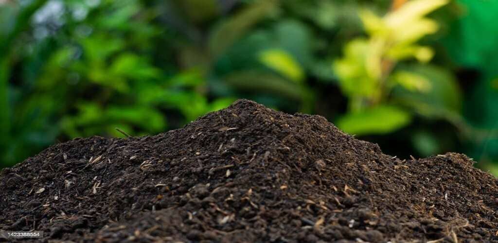 Screened compost product grade example
